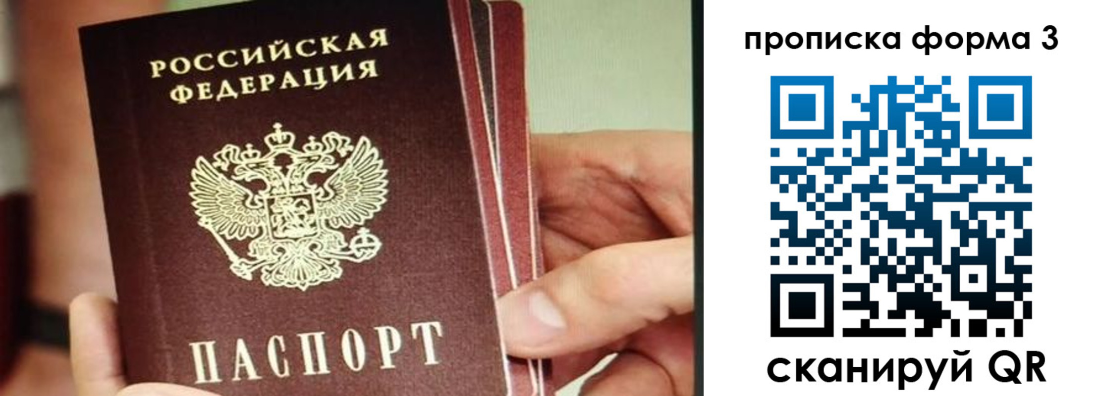 прописка законно в Берёзовском